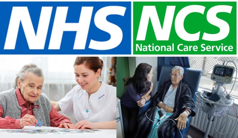 Call for National Care Service - NCS